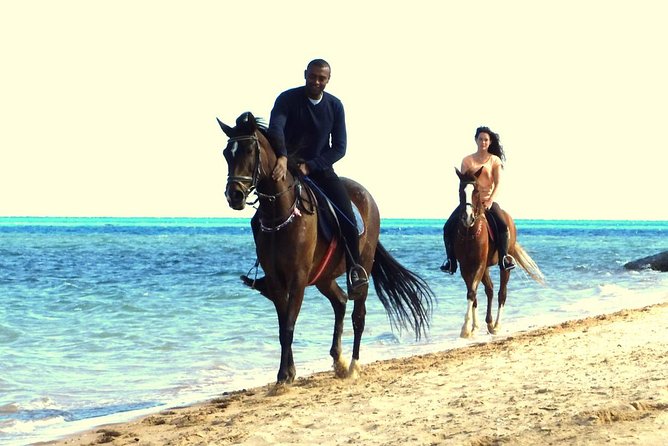 Horse Riding Tour 2 Hours Sea And Desert with Transfer - Hurghada - What the $15 price really means