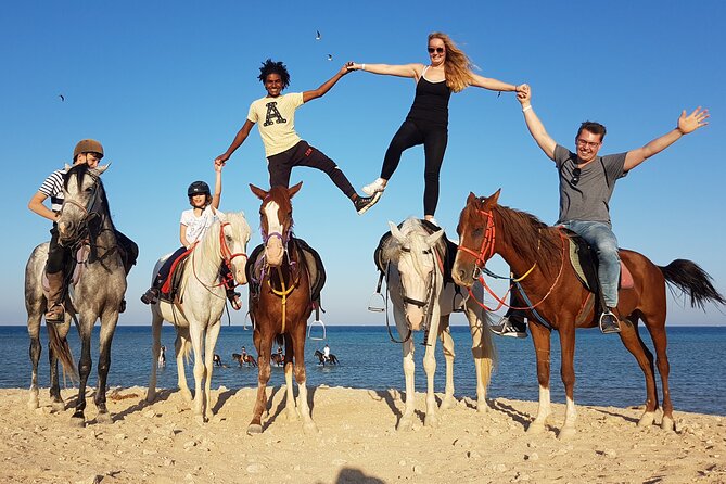 Horse Riding Tour 2 Hours Sea And Desert with Transfer - Hurghada - Who will enjoy this ride most?