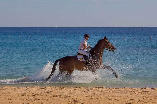 Horse Riding Tour 2 Hours Sea And Desert with Transfer - Hurghada - Booking details worth checking before you pay