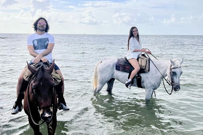 Horse Riding Tour at the Beach in Miami - What the first hour is likely to feel like