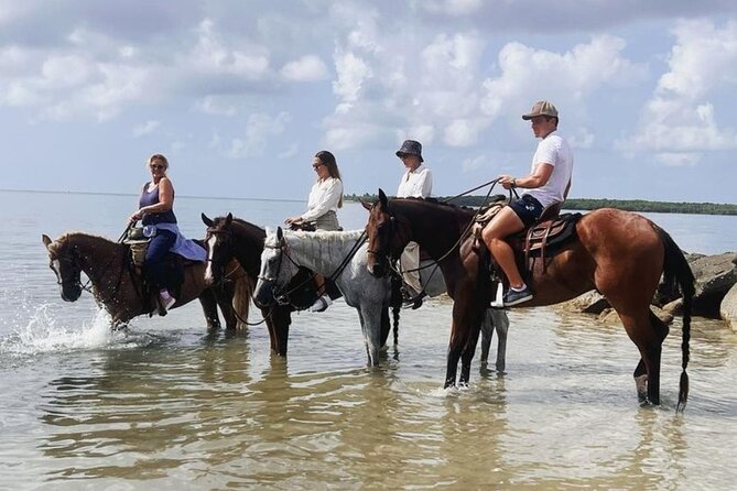 Horse Riding Tour at the Beach in Miami - Horse care is part of the experience