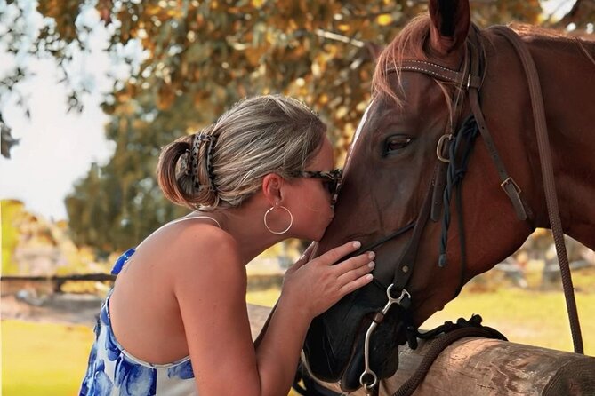 Horse Riding Tour at the Beach in Miami - Who will enjoy this Miami horseback ride?