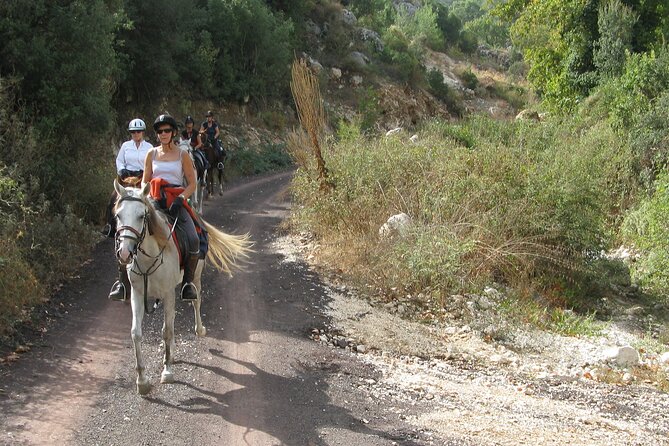 Horse Riding Tour in Bodrum with Hotel Pick Up - Key points to know before booking