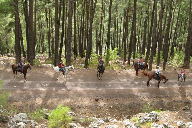 Horse Riding Tour in Bodrum with Hotel Pick Up - What the guide does for your safety