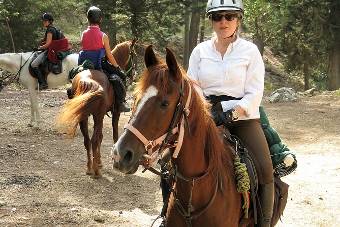 Horse Riding Tour in Bodrum with Hotel Pick Up - What the three-hour schedule really includes