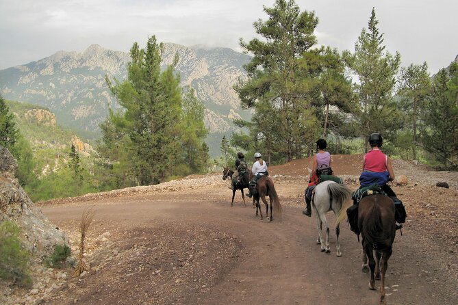 Horse Riding Tour in Bodrum with Hotel Pick Up - Is $75.44 a fair price?