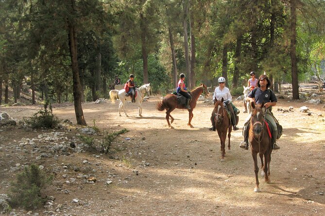 Horse Riding Tour in Bodrum with Hotel Pick Up - Practical clothing and packing advice