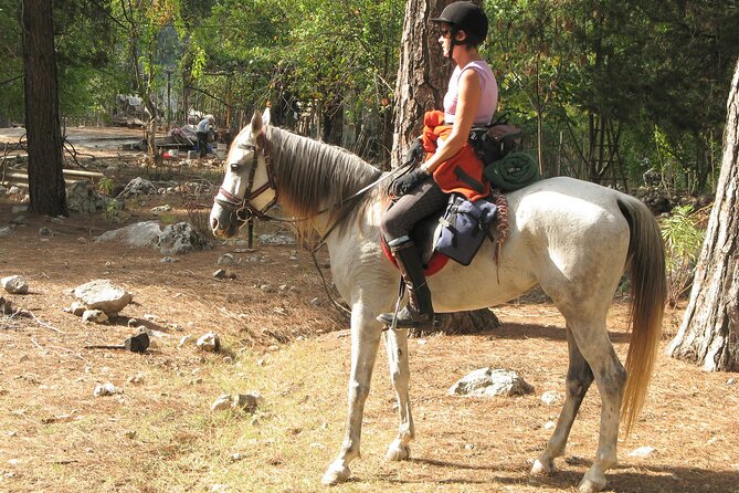 Horse Riding Tour in Bodrum with Hotel Pick Up - The one-hour ride through Bodrum’s countryside