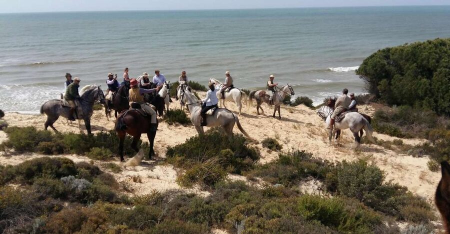 Horse-Riding Tour in Doñana National Park - Key points to know before you ride