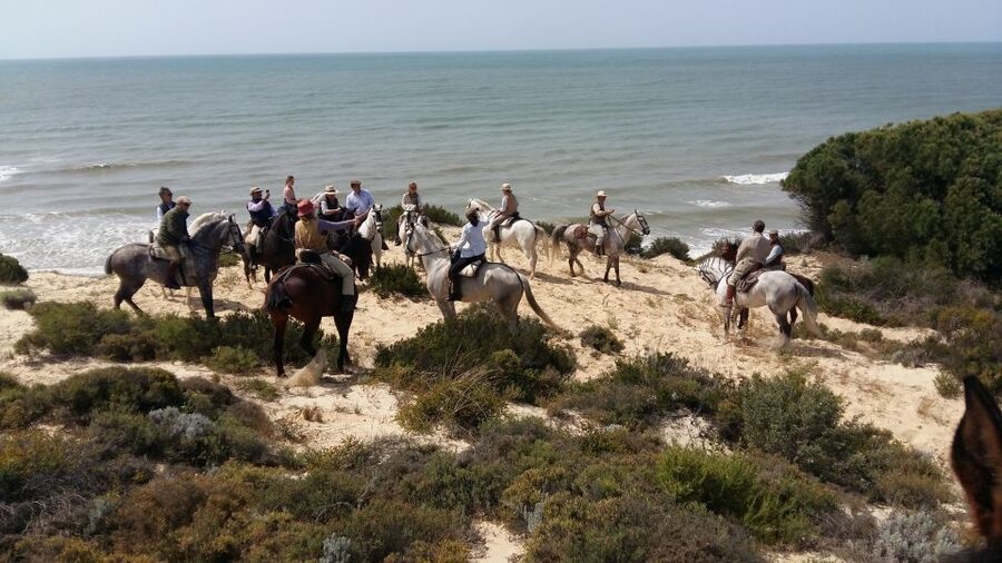 Horse-Riding Tour in Doñana National Park - Why horseback is a good way to see Doñana