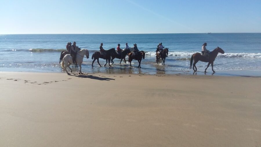 Horse-Riding Tour in Doñana National Park - The Dunas and their sea viewpoints