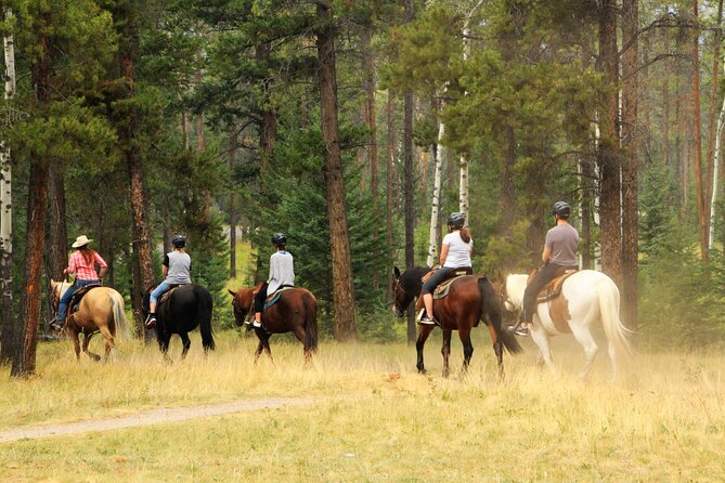 Horse Riding Tour in Marmaris - Meeting the horses before the ride