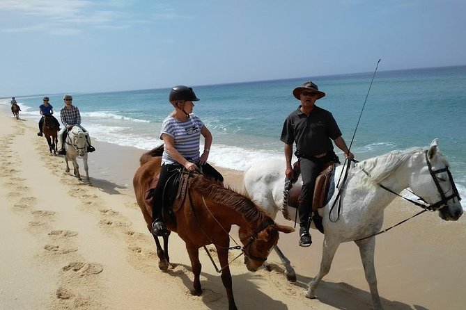 Horse Riding Tour on the Beach Lisbon region - Key points at a glance