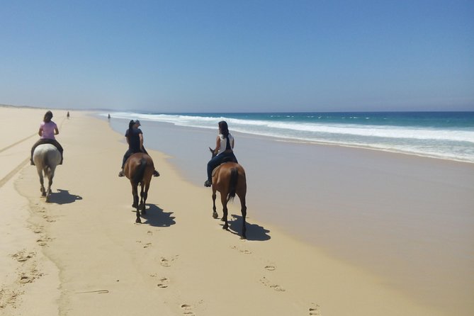 Horse Riding Tour on the Beach Lisbon region - Riding through rice fields toward the beach