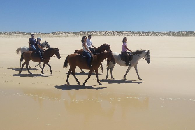 Horse Riding Tour on the Beach Lisbon region - How the private format affects the day