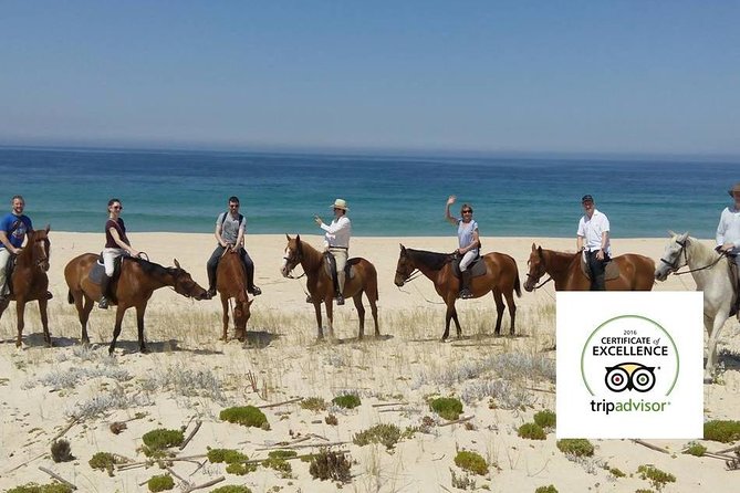 Horse Riding Tour on the Beach Lisbon region - What to bring and what to expect
