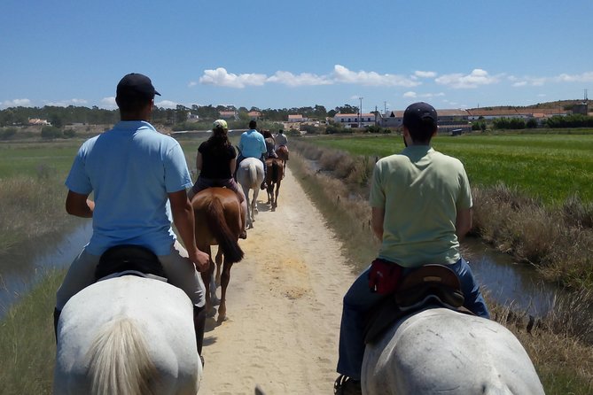 Horse Riding Tour on the Beach Lisbon region - Arriving at the stables around 11:15 am