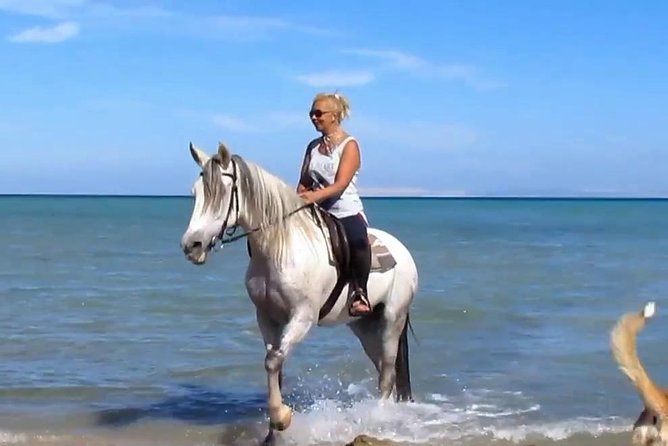 Horse Riding Tour Two Hours Sun & Sea With Transfer - Hurghada - Five things to know before you book