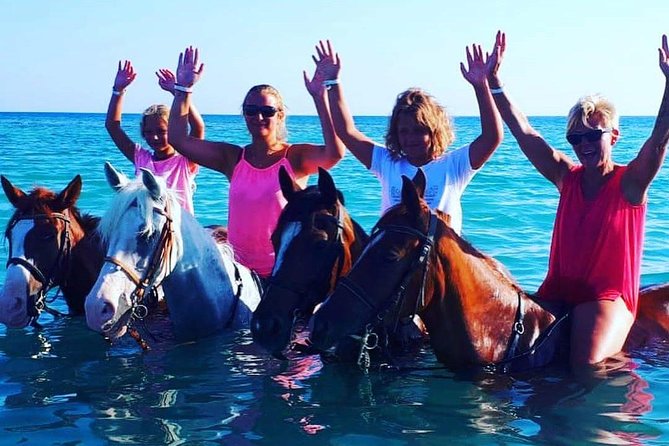 Horse Riding Tour Two Hours Sun & Sea With Transfer - Hurghada - What the $15 price really means