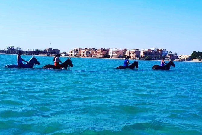 Horse Riding Tour Two Hours Sun & Sea With Transfer - Hurghada - Practical tips for a smoother outing