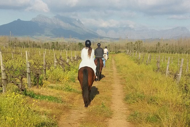 Horse Riding Wildlife Safari - A horseback safari near Stellenbosch, not a standard game drive