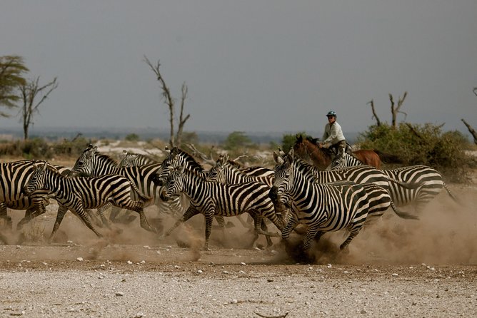 Horse safaris in Tanzania - Key points before you saddle up