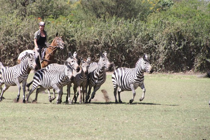 Horse safaris in Tanzania - Faster riding for experienced participants