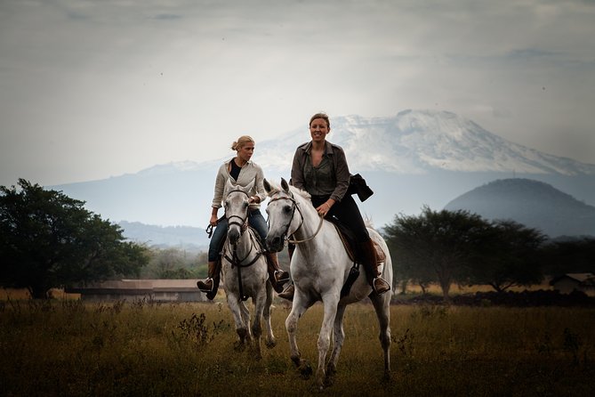 Horse safaris in Tanzania - Morning or afternoon: choosing the better time