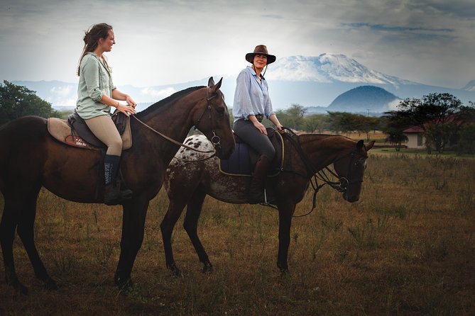 Horse safaris in Tanzania - The first quiet tracks through the estate