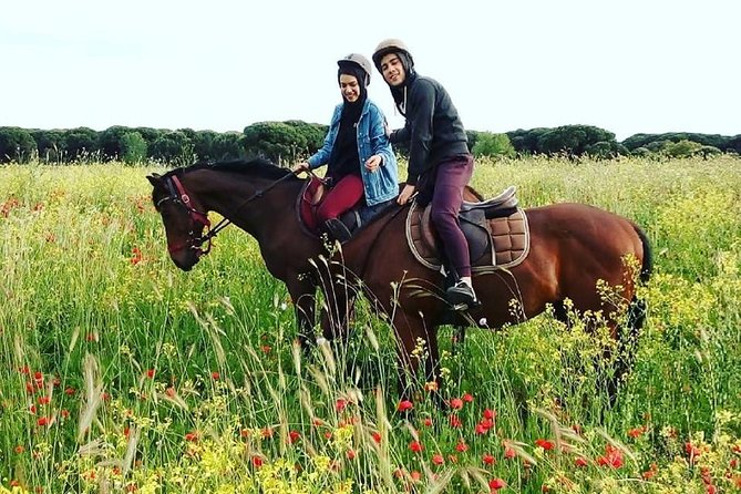 Horse Sanctuary & Trail Ride in Ostia Antica - A horse experience with more heart than speed