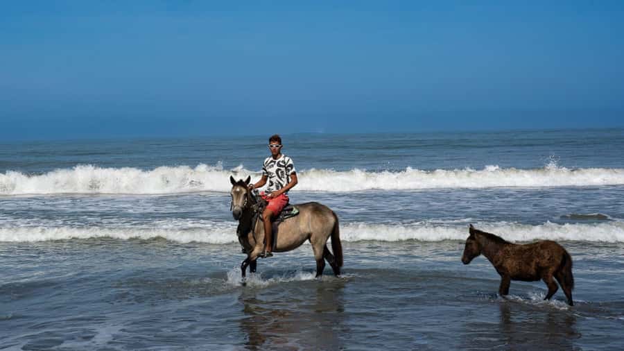 HORSE TOUR IN CARTAGENA BEACH - Should You Book This Cartagena Horse Tour?