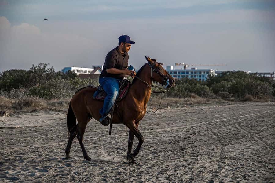 HORSE TOUR IN CARTAGENA BEACH - The Ride Back to Cartagena