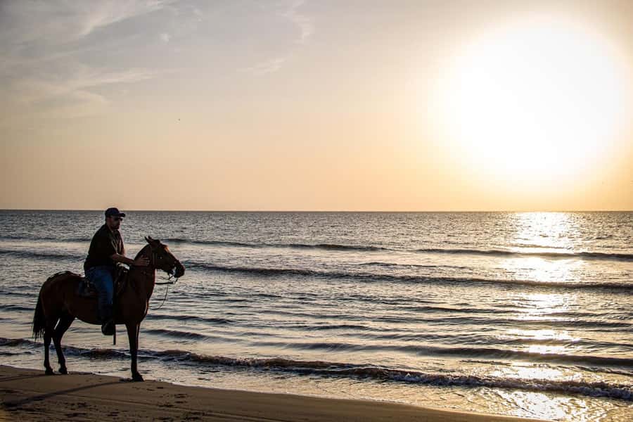HORSE TOUR IN CARTAGENA BEACH - Meeting Your Horse in Manzanillo