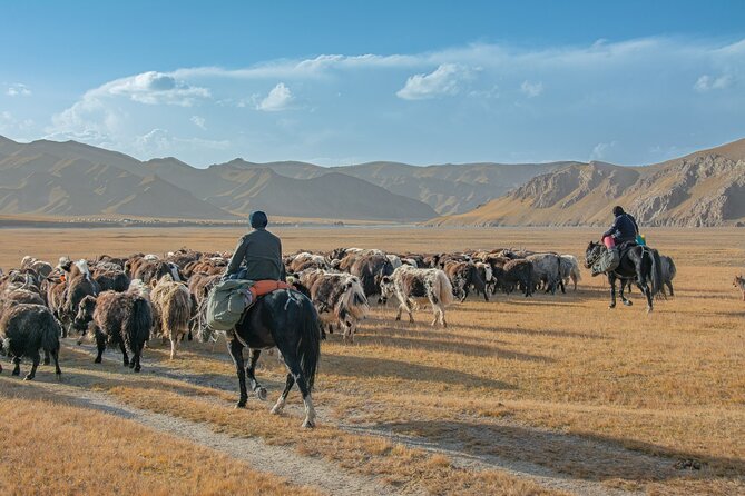 Horse Trek to Kel Suu Lake - Crossing Car Pass at 3,791 meters
