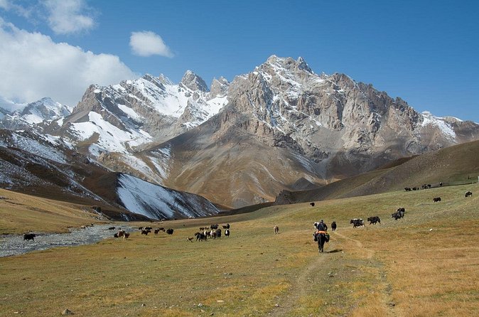 Horse Trek to Kel Suu Lake - Homestays, yurts, tents, and mountain meals