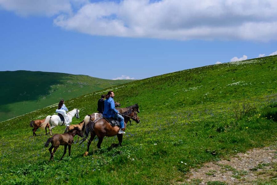 Horseback Adventure in Armenia’s Highland Pastures - The riding lesson makes a real difference