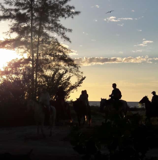Horseback Adventure in Holbox - Key points before you book