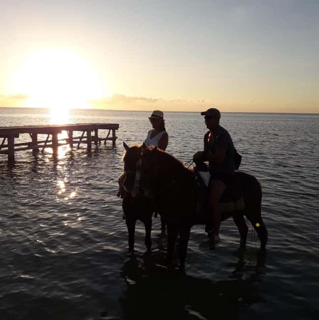 Horseback Adventure in Holbox - Riding through Holbox’s mangrove country