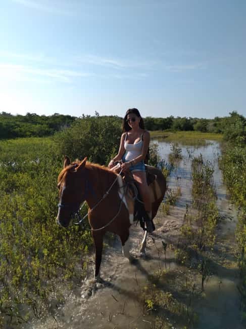 Horseback Adventure in Holbox - What the private group format changes
