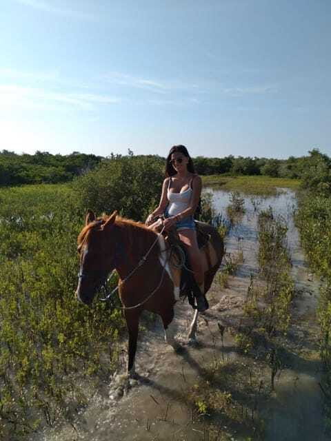 Horseback Adventure in Holbox - Is $96 a fair price?