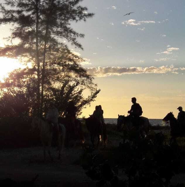 Horseback Adventure in Holbox - Who should book this Holbox ride?