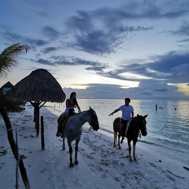 Horseback Adventure in Holbox - The shift from mangrove trail to beachfront