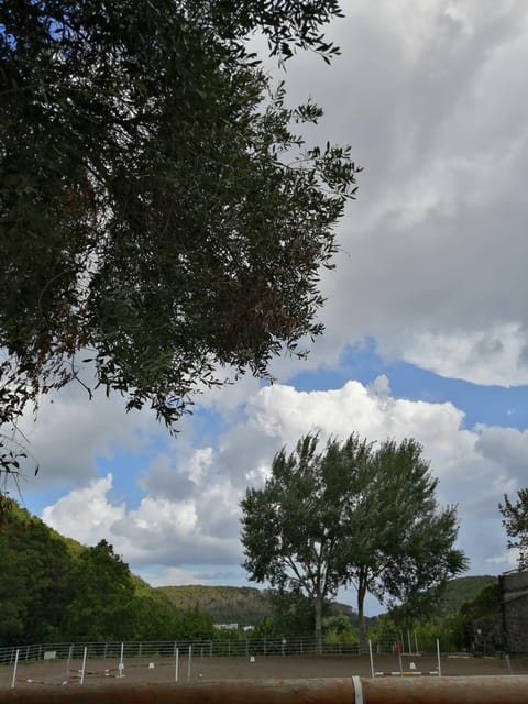 Horseback excursion in the Maddalena woods - Mount Rotaro and Ischia’s volcanic past