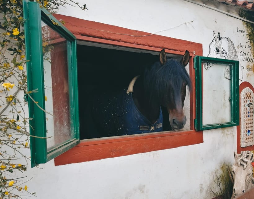 Horseback excursion in the Maddalena woods - What the one-hour itinerary feels like