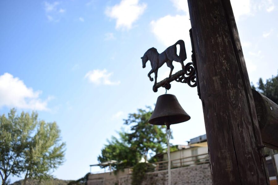Horseback excursion in the Maddalena woods - Meeting the horses at Fondo d’Oglio