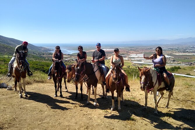 Horseback Mountain Trail Ride - Key points before you book