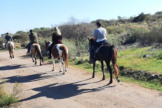 Horseback Mountain Trail Ride - Combining the ride with La Bufadora or Pai Pai Park