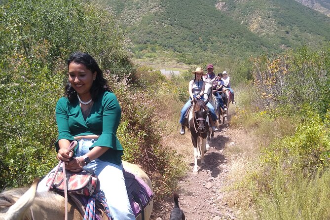 Horseback Mountain Trail Ride - The ride itself: 90 minutes at a comfortable pace