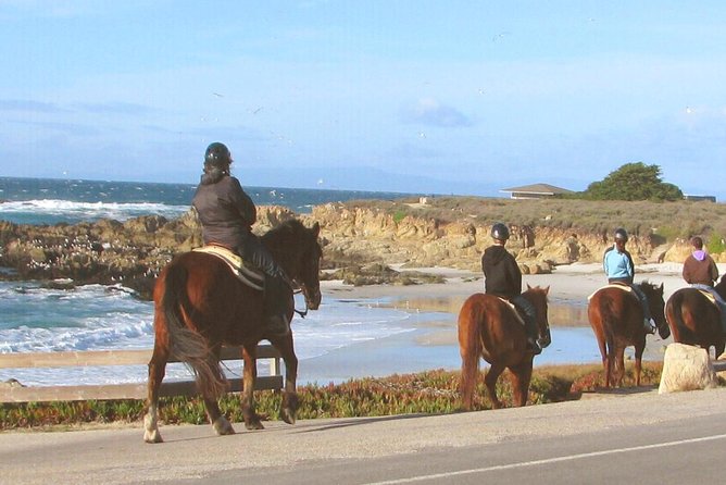 Horseback Ride & Alcatraz Prison Tickets - Booking and Cancellation Details to Take Seriously