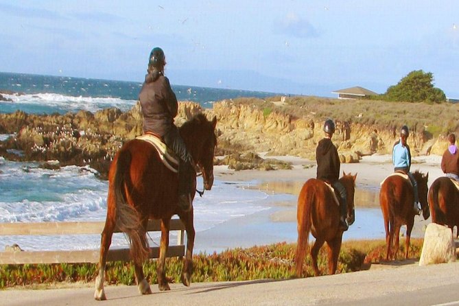 Horseback Ride & Alcatraz Prison Tickets - What the Horseback Ride Means for You